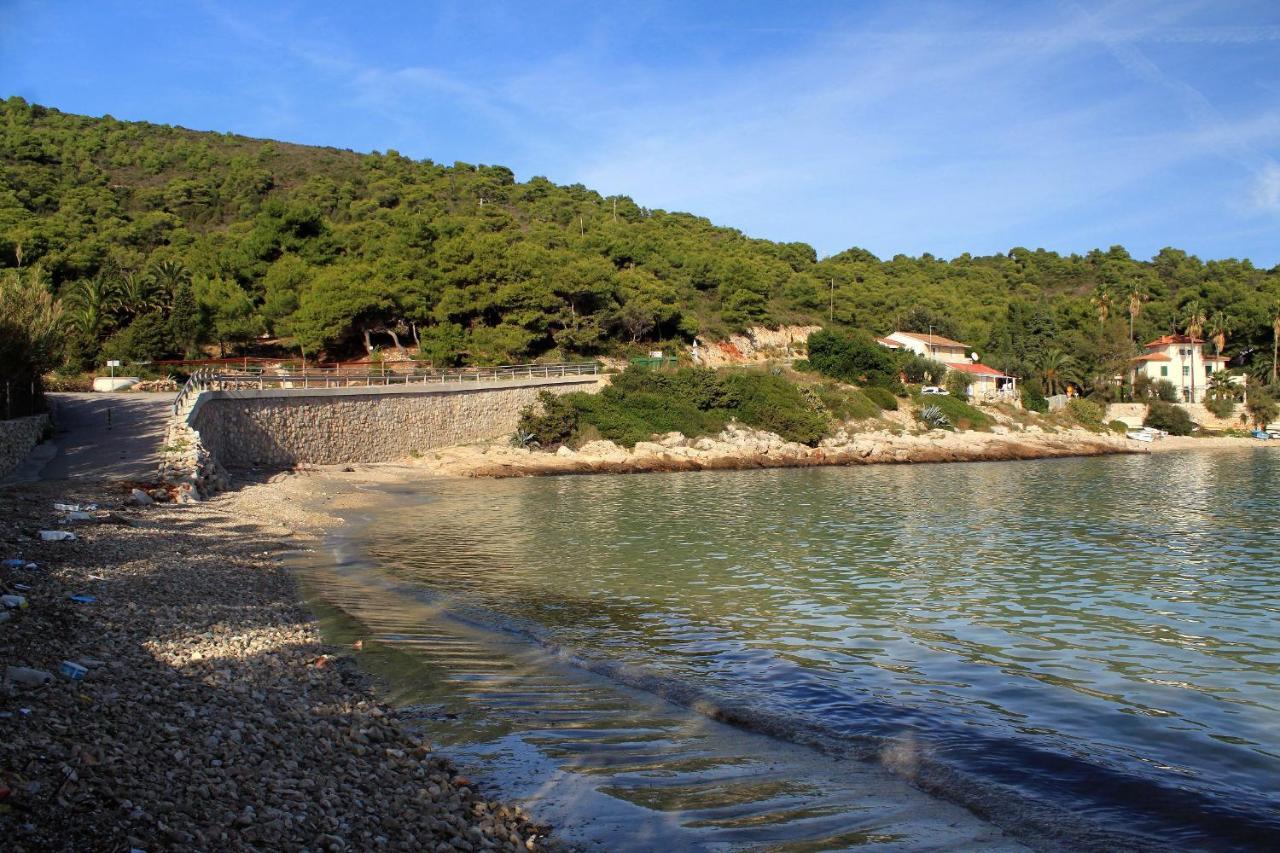 Apartments By The Sea Milna, Vis - 8896 Exterior foto